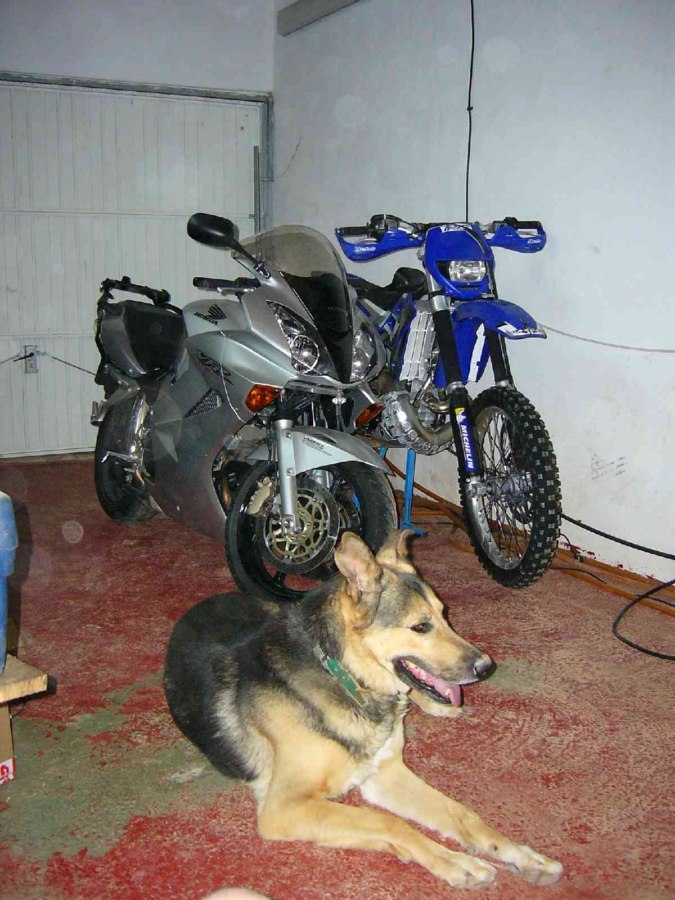 Moto 7